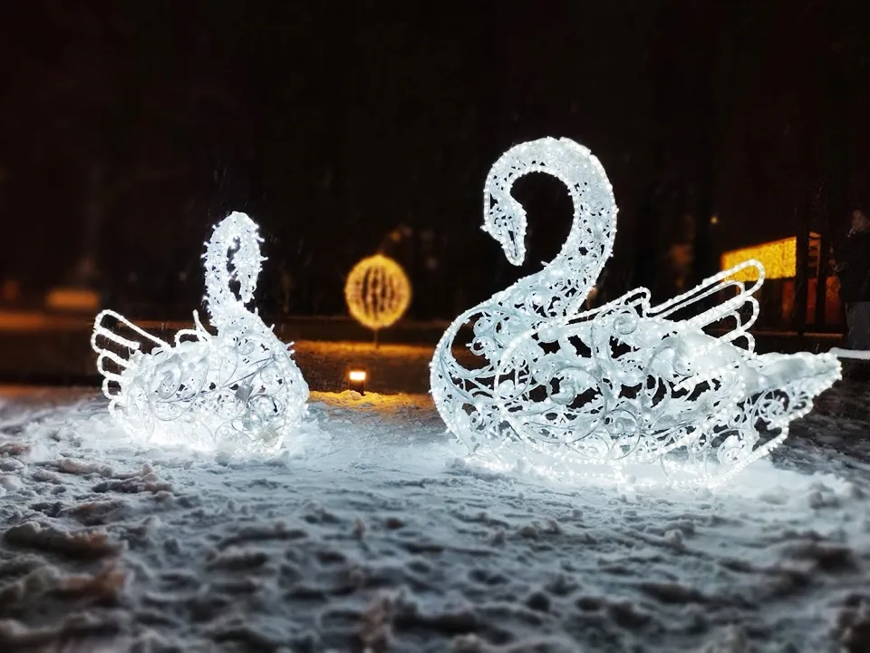 Фото: REGIONS/Алексей Селиверстов