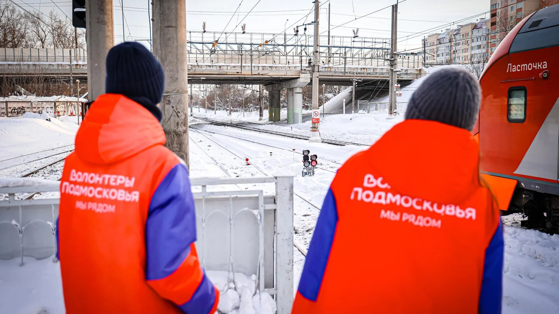 МедиаБанк Подмосковья/Данила Кирьянов