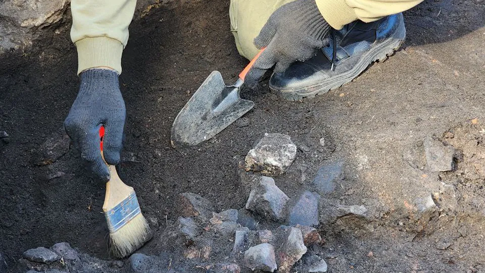Фото: МедиаБанк Подмосковья/Евгений Рой