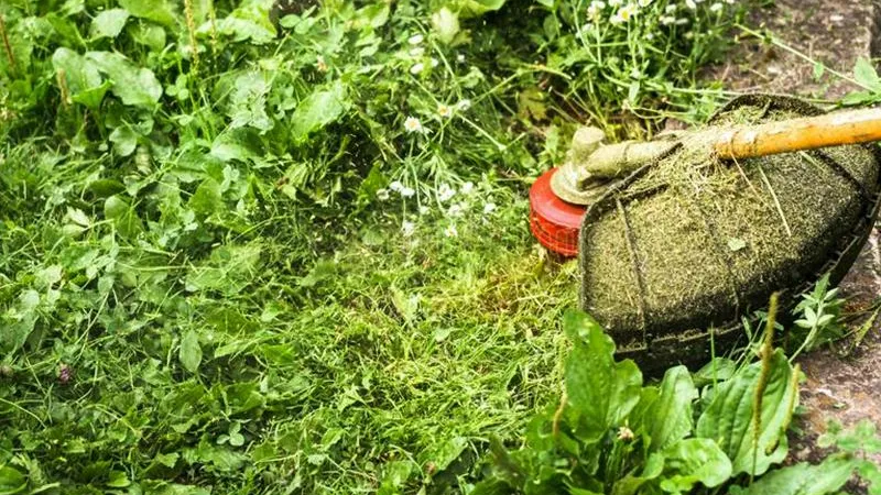 Житель Балашихи погиб во время покоса травы