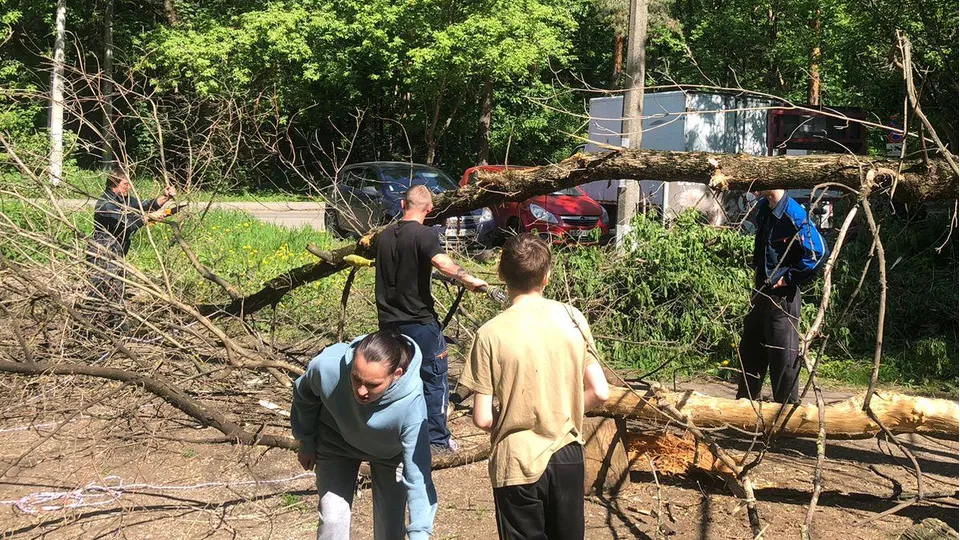 Фото: пресс-служба администрации г.о. Котельники