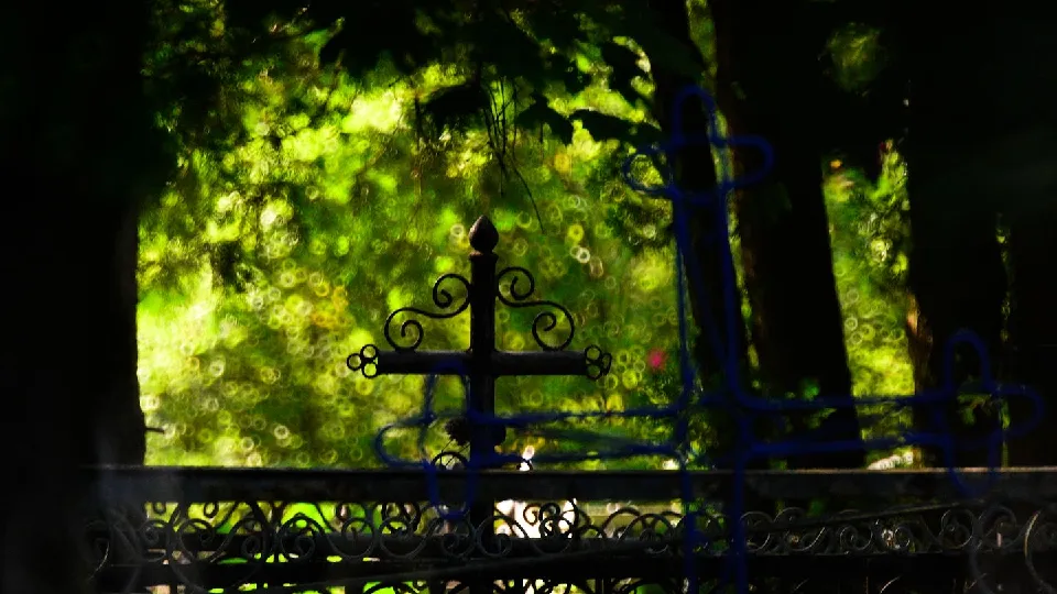 Фото: медиасток.рф