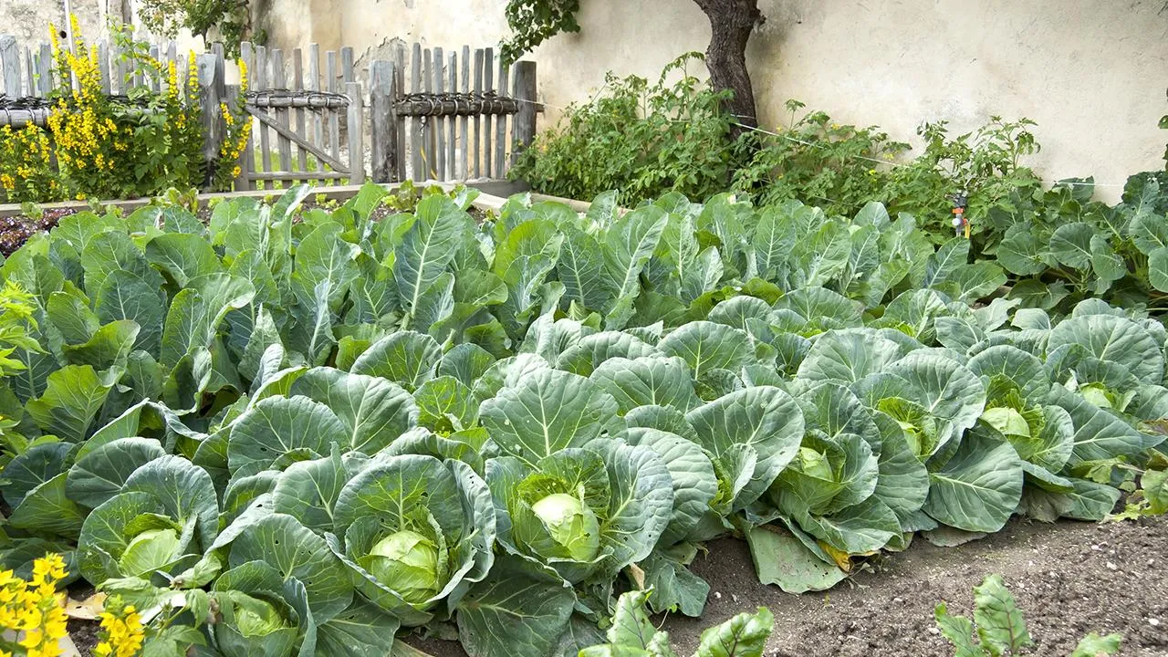 istockphoto.com/typo-graphics