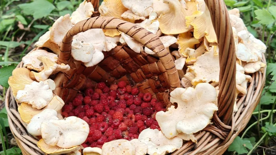 Фото: Константин Кошелев