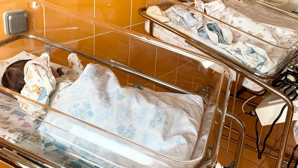 Фото: МедиаБанк Подмосковья/Ирина Мальцева