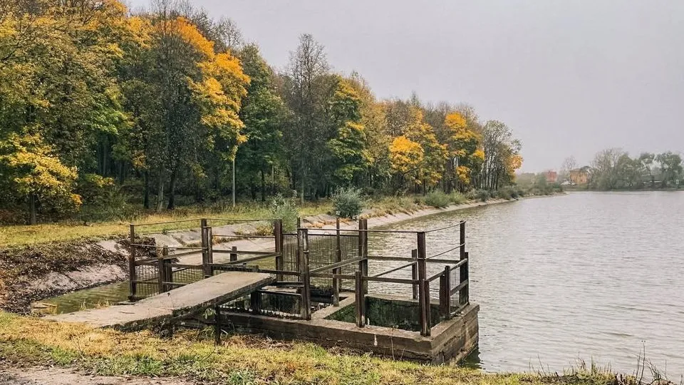 Фото: t.me/khrustaleva_domodedovo