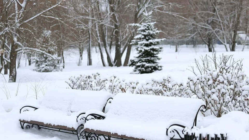 Фото: пресс-служба администрации г.о. Долгопрудный