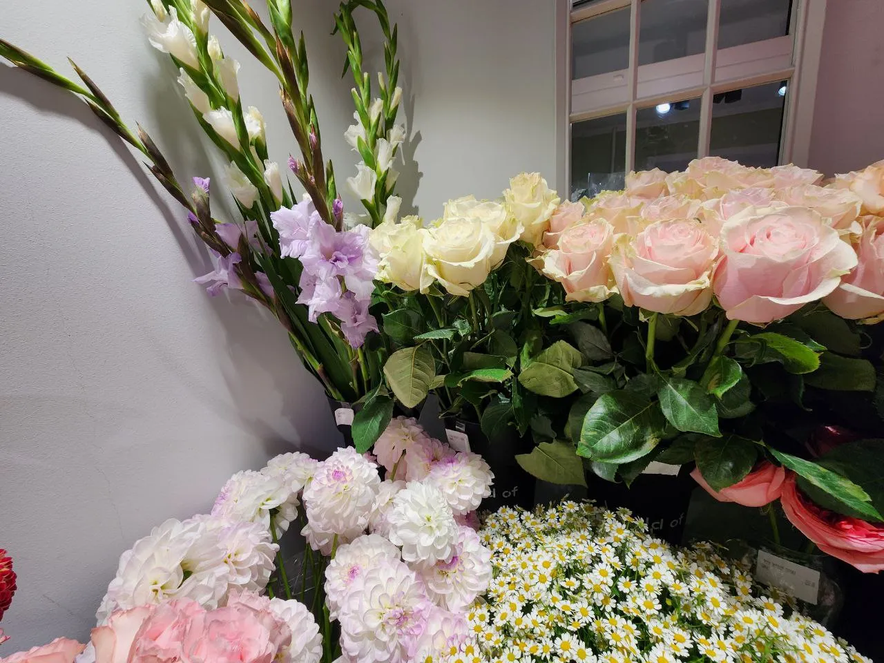 Фото: Валерия Тингаева