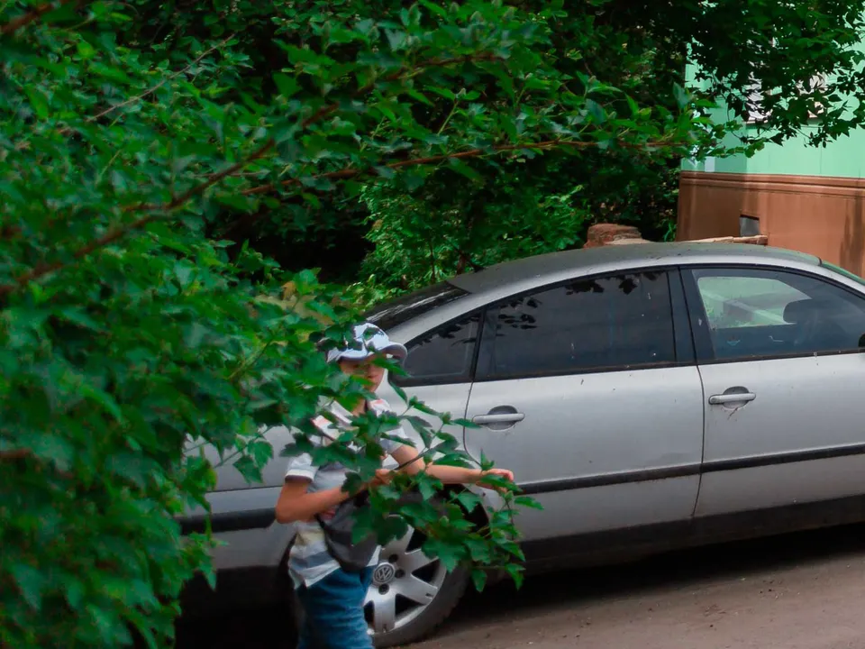 Фото: пресс-служба г. о. Кашира