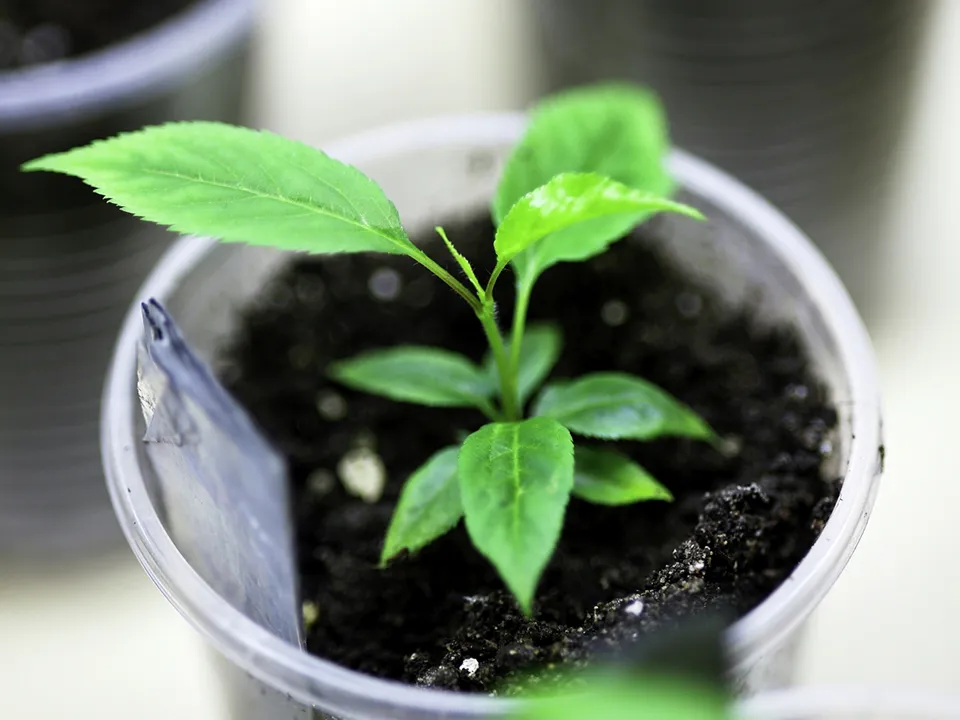 Фото: РИА Новости/Виталий Тимкив