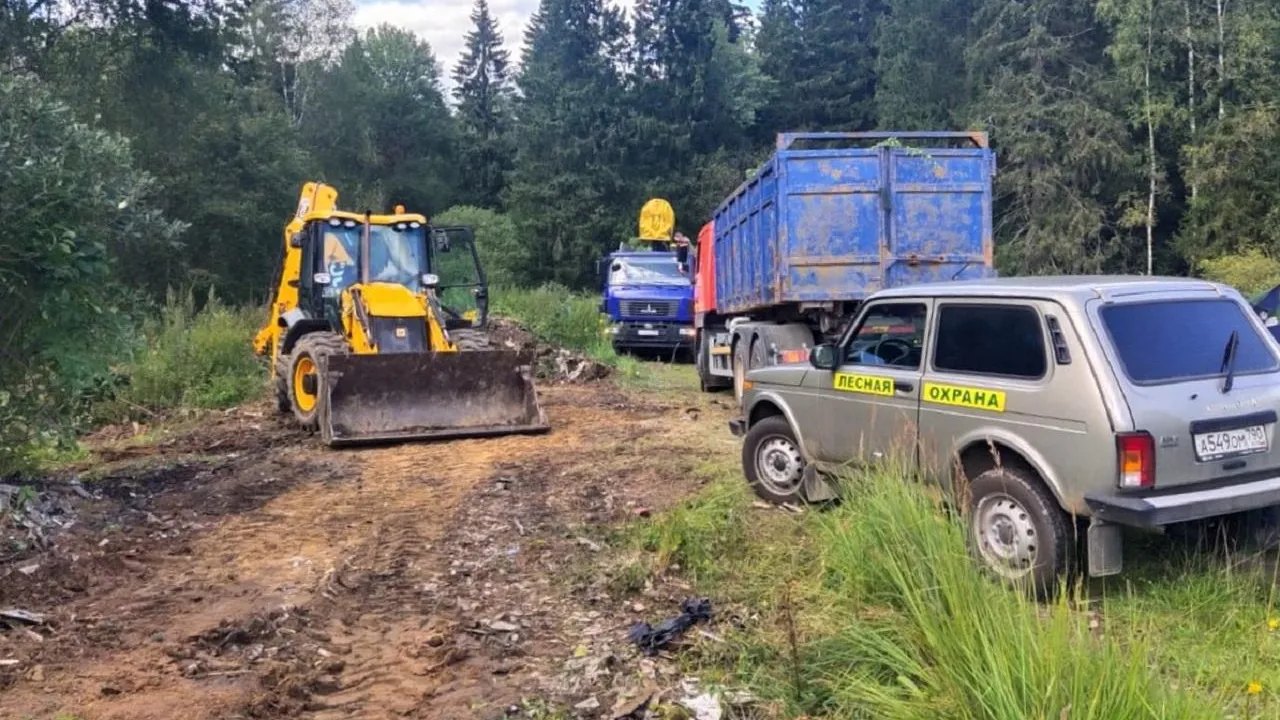 Свыше 15 тысяч кубометров мусора убрали в лесах Подмосковья в этом месяце
