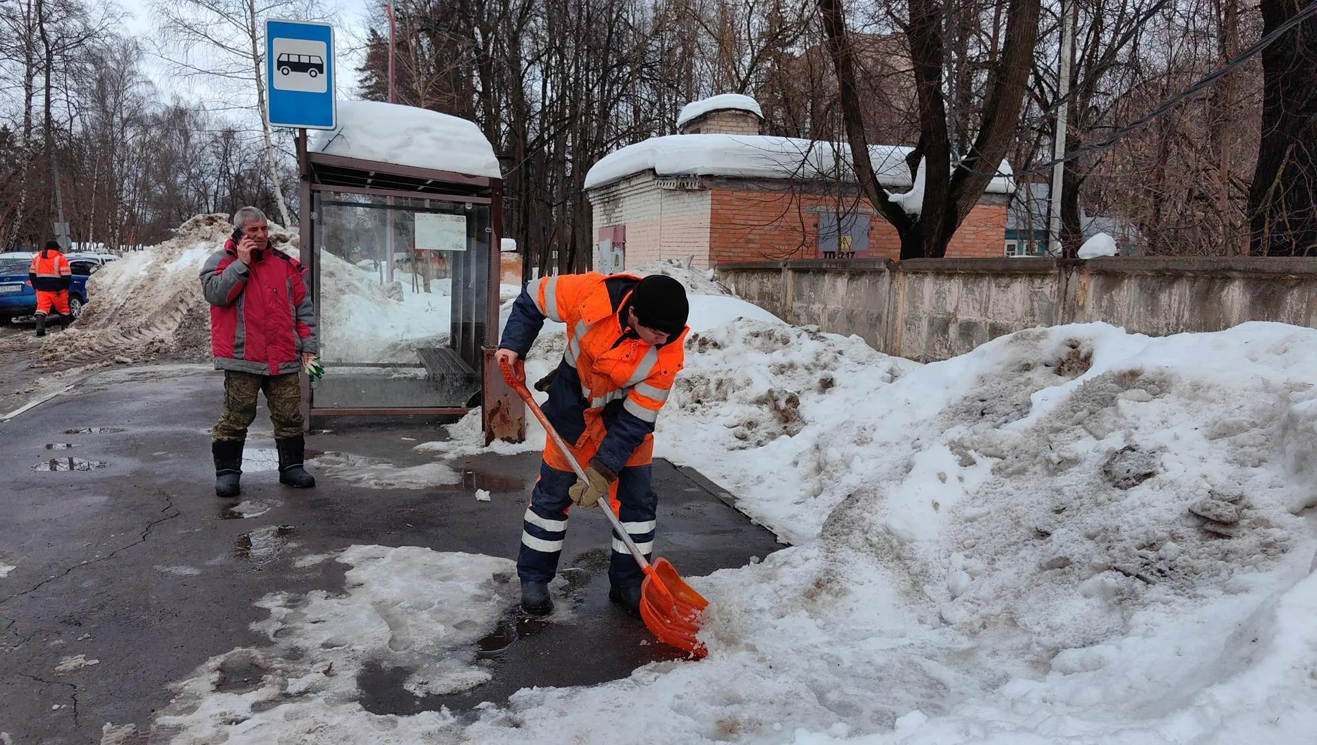 Елена Катасонова
