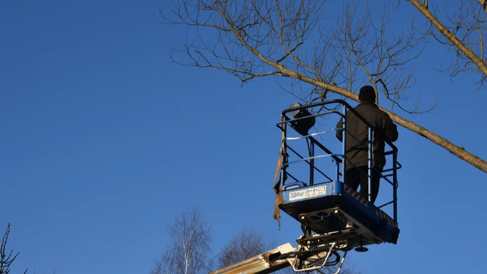 Фото: МедиаБанк Подмосковья/Владимир Останин