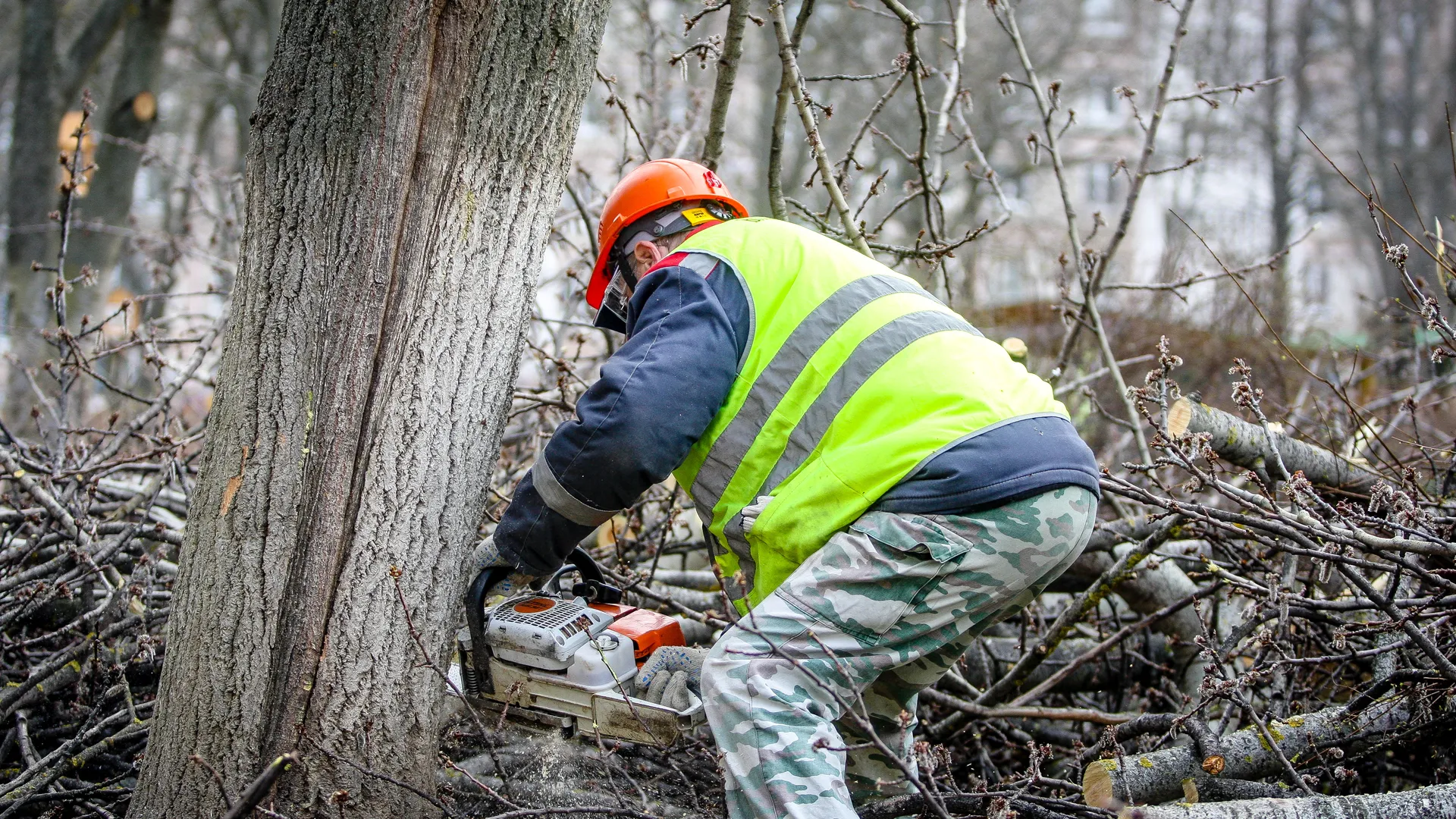 Фото: пресс-служба администрации г.о. Кашира