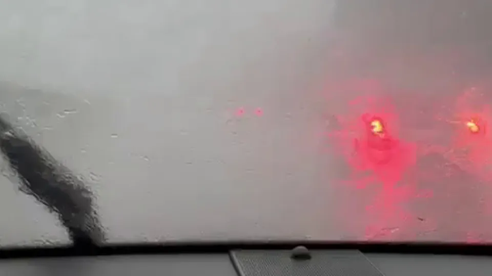 Фото: стоп-кадр из видео