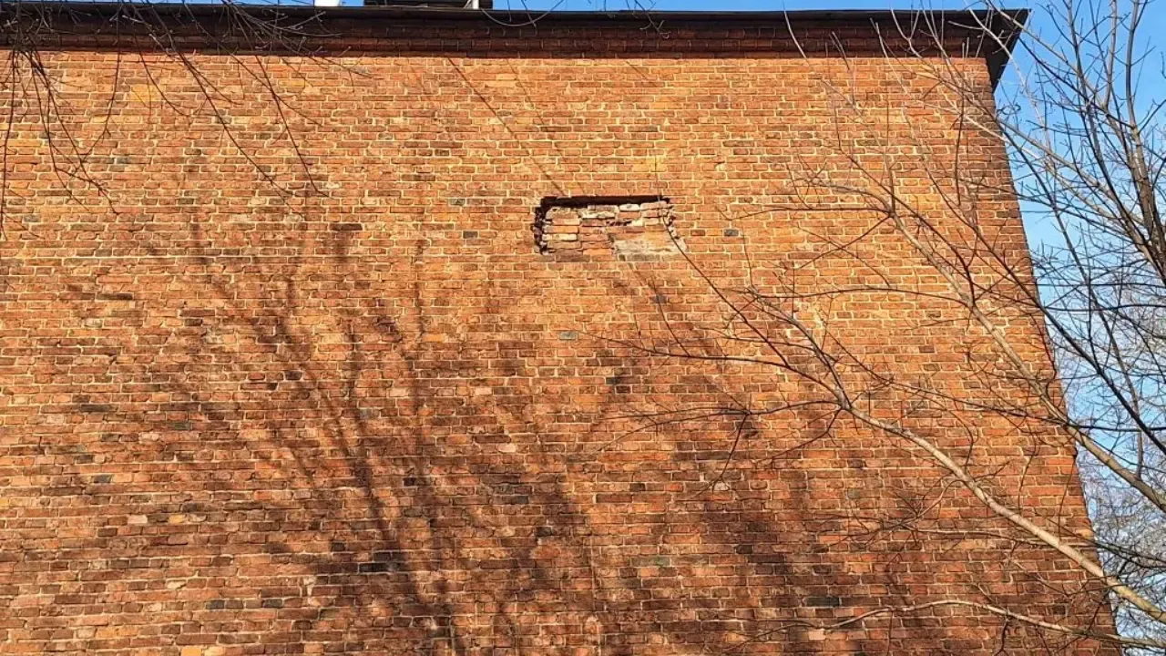 из личного архива Алексея Рыбкина