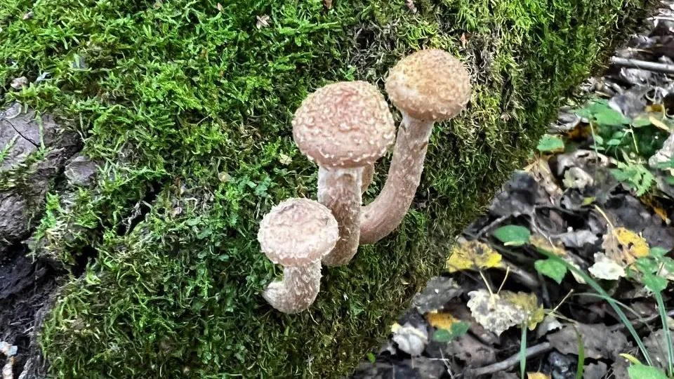 Фото: Анна Мороз