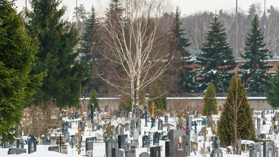 Фото: медиасток.рф