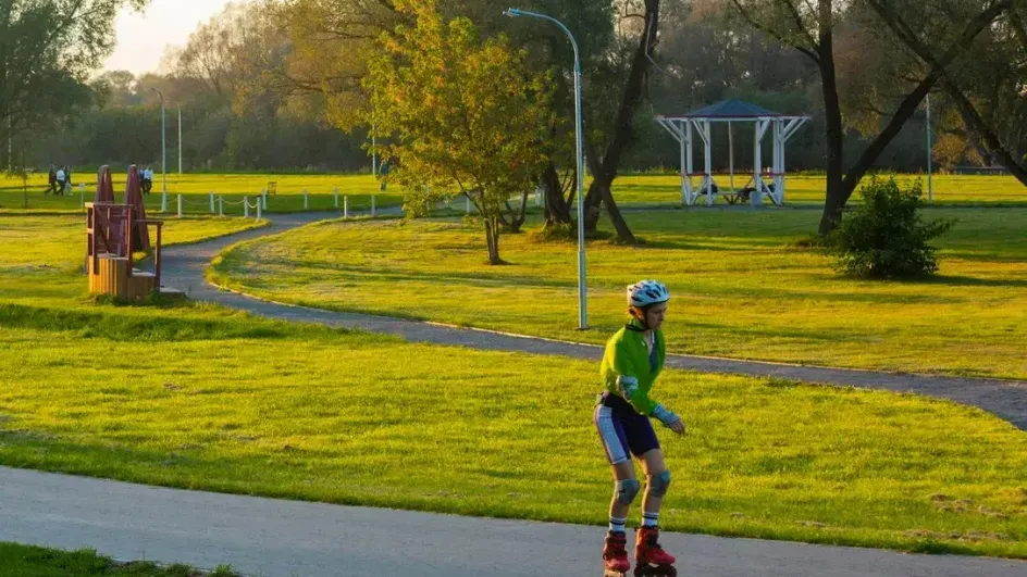 Фото: Министерство благоустройства МО