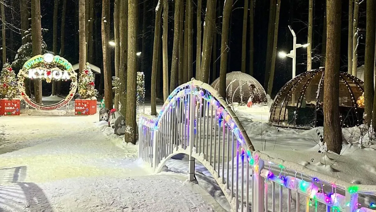 Фото: телеграм-канал «Парки Электростали»