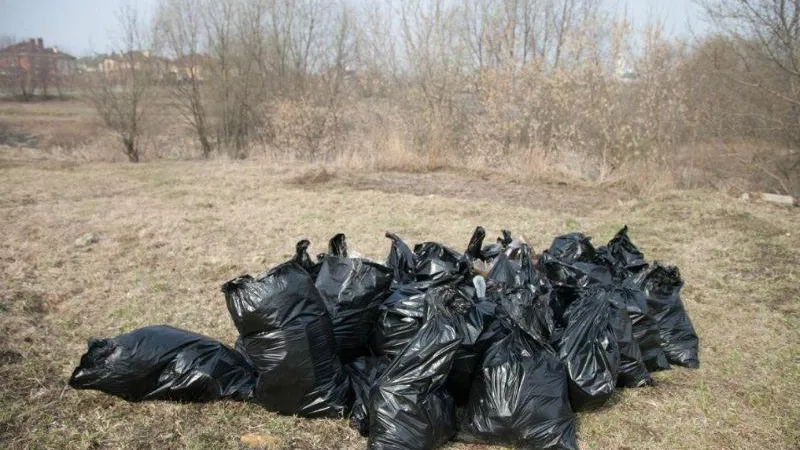 В Коломне после вмешательства Минэкологии очистили берега реки Репинки