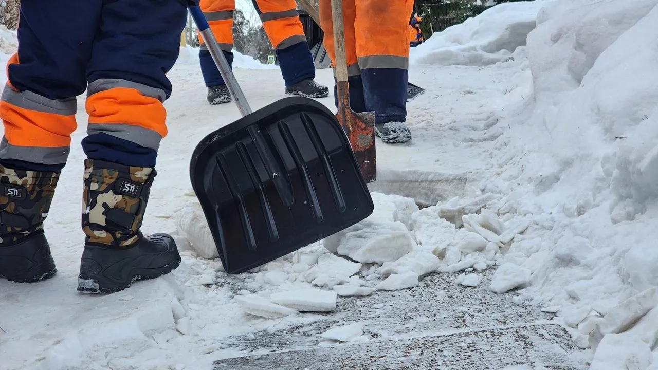 REGIONS/Анна Мороз