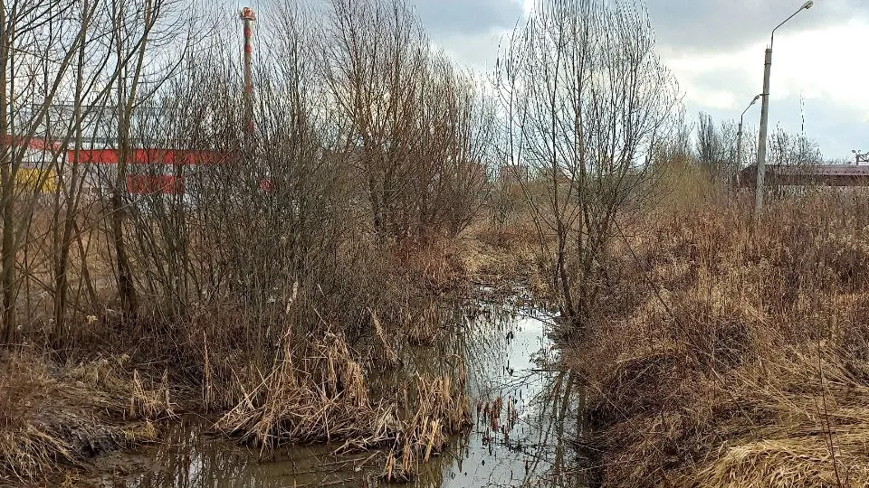 Фото: REGIONS/Олег Книжник