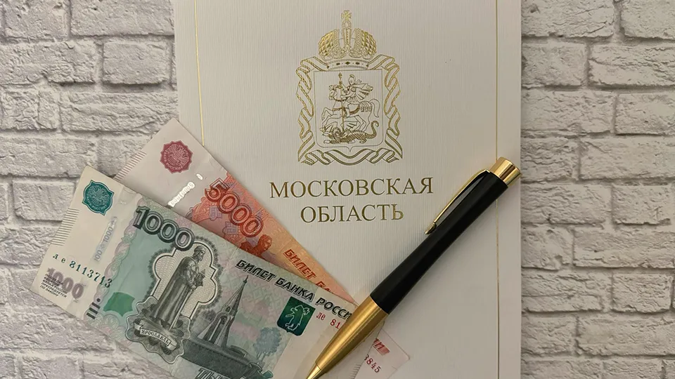 Фото: Министерство экономики и финансов Московской области