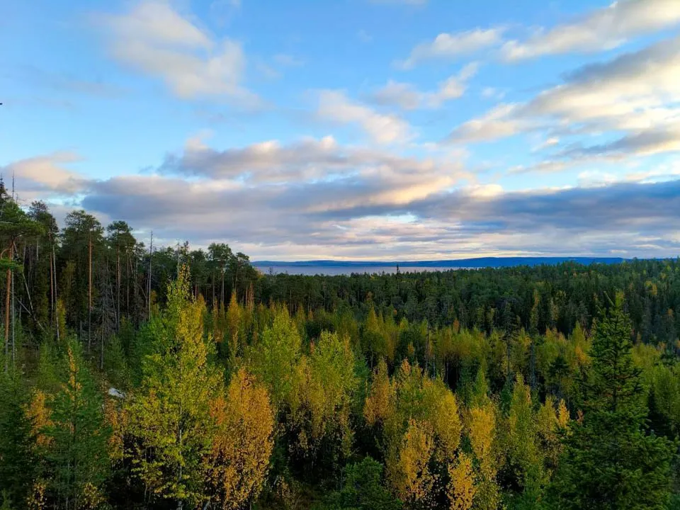 Фото: REGIONS/Андрей Можанов