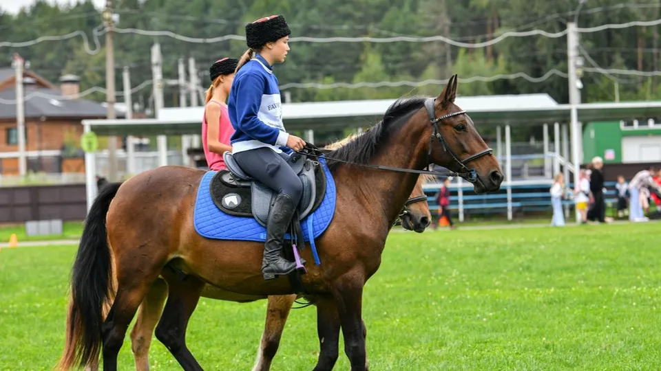 Фото: пресс-служба Администрации г.о. Химки