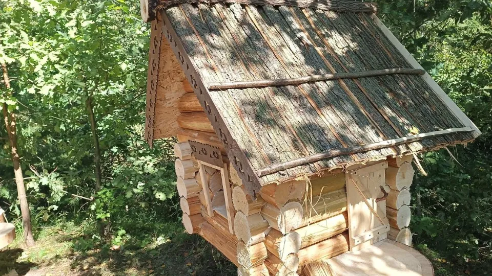 Фото: Комитет лесного хозяйства МО