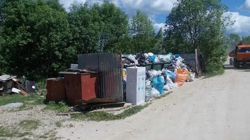 Договоры на вывоз мусора из СНТ проверят в Подмосковье