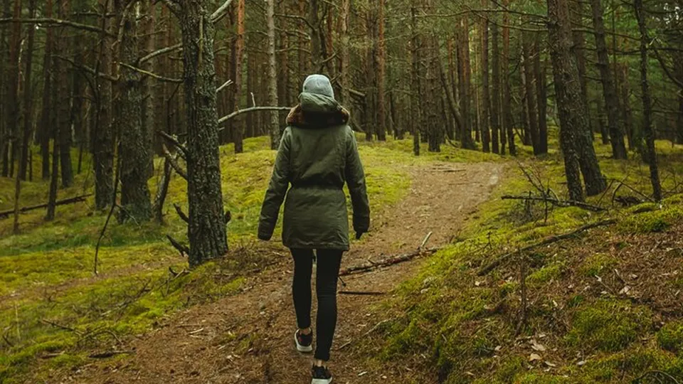 Фото: freepik.com