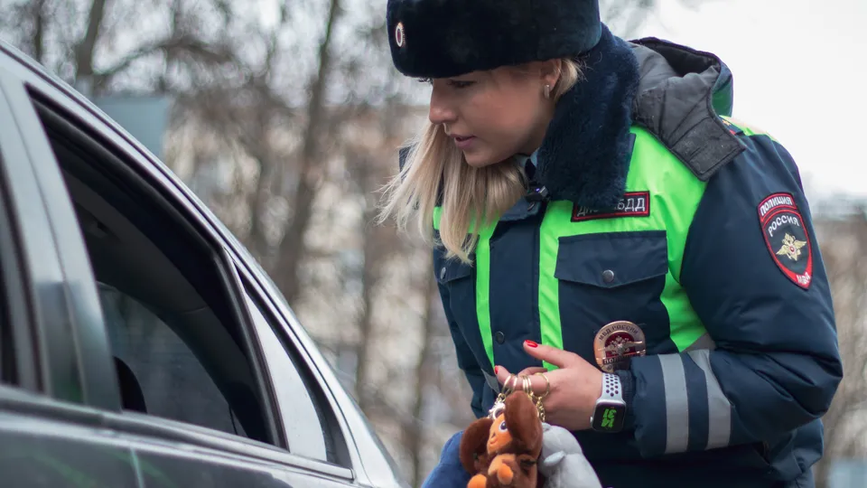 Фото: Илья Стрижевский