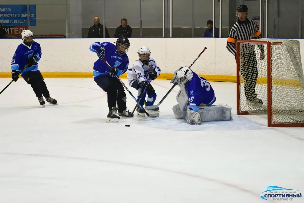 Фото: Зарайский ледовый спортивный комплекс