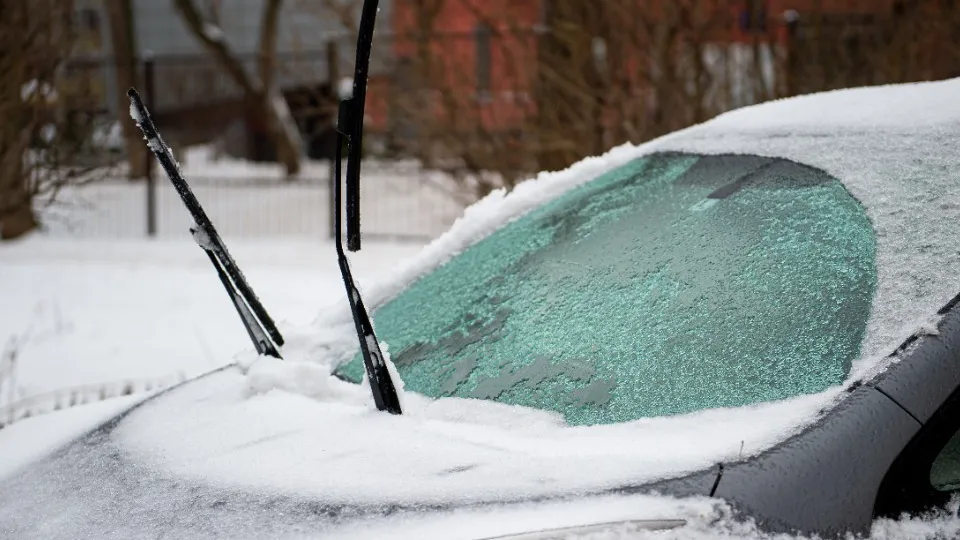 Фото: медиасток.рф