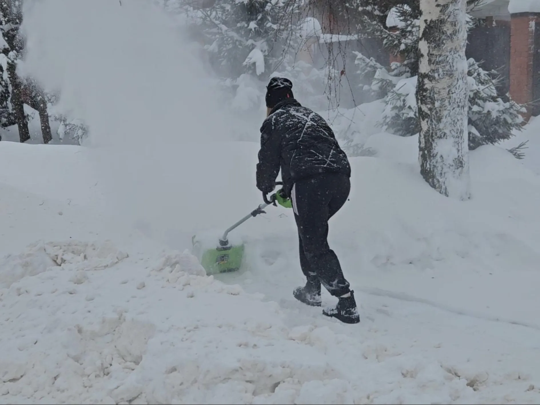 Фото: МедиаБанк Подмосковья/Ольга Вельшикаева