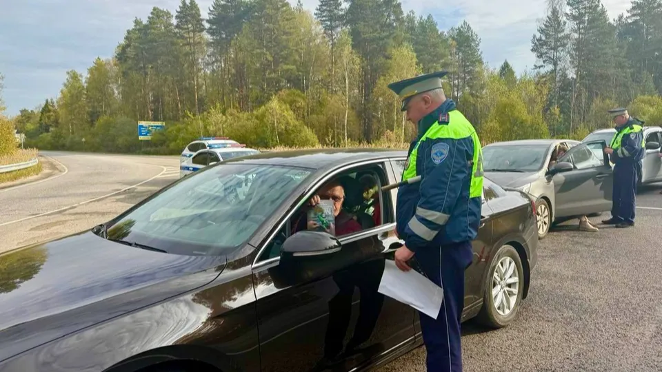 Фото: Госавтоинспекция по Орехово-Зуевскому г.о.