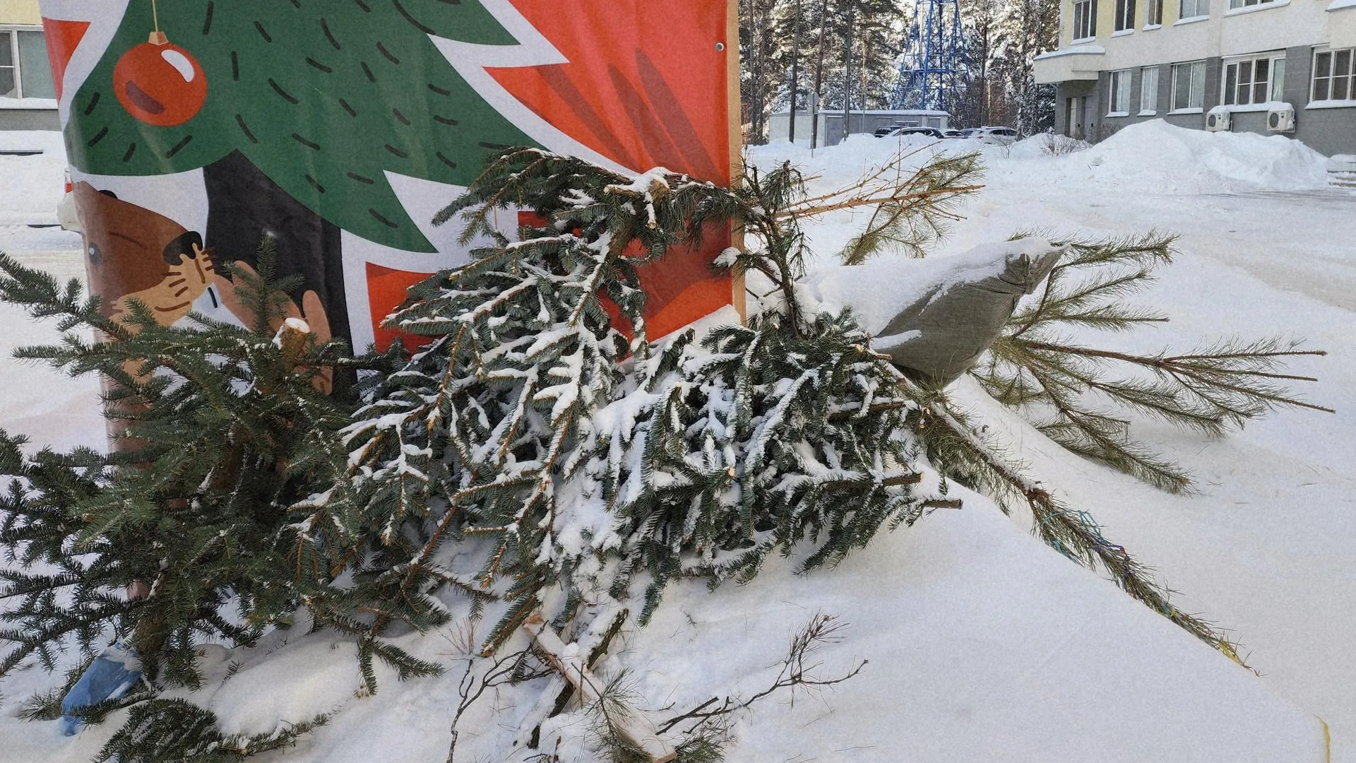 МедиаБанк Подмосковья/Ирина Моисеева