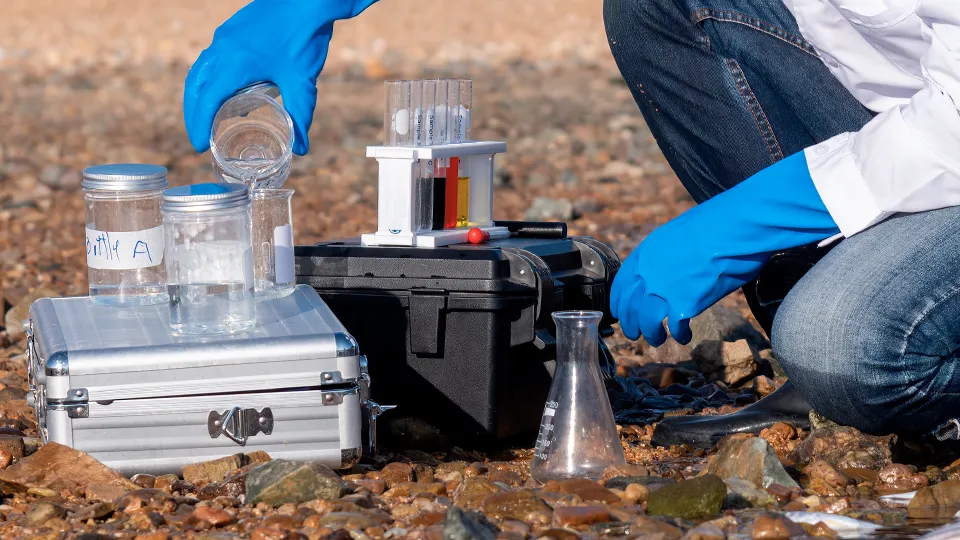 Фото: istockphoto.com/DSCimage