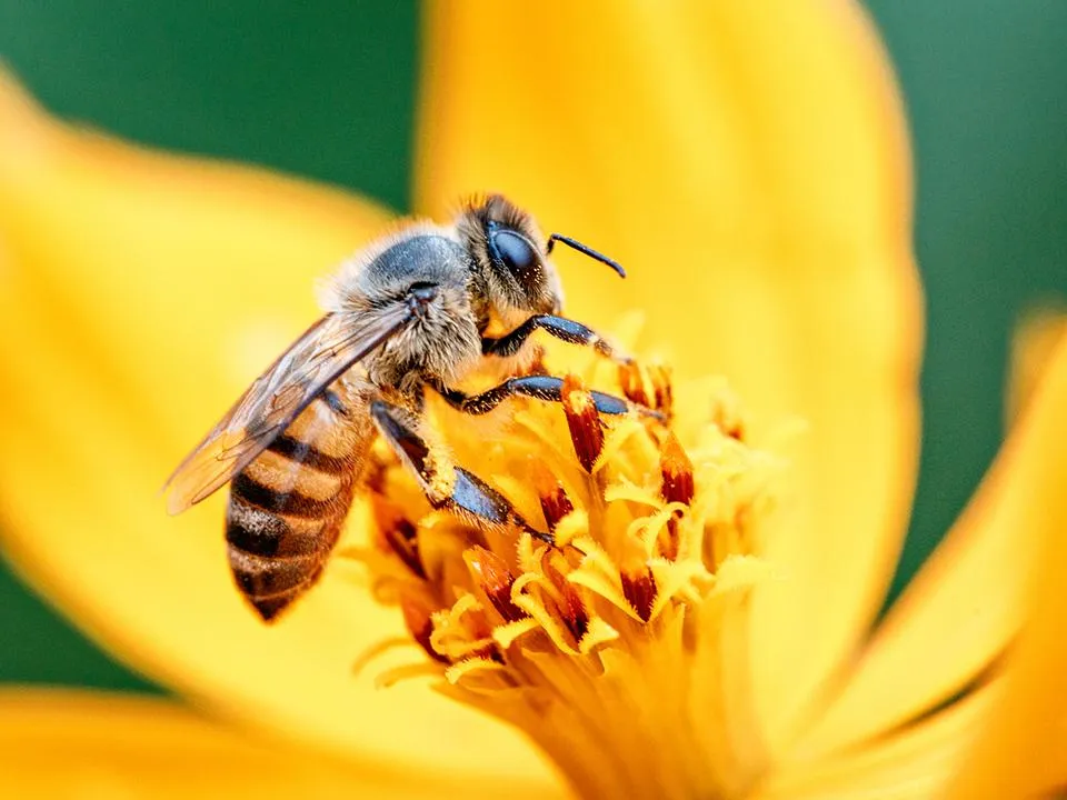 Фото: istockphoto.com