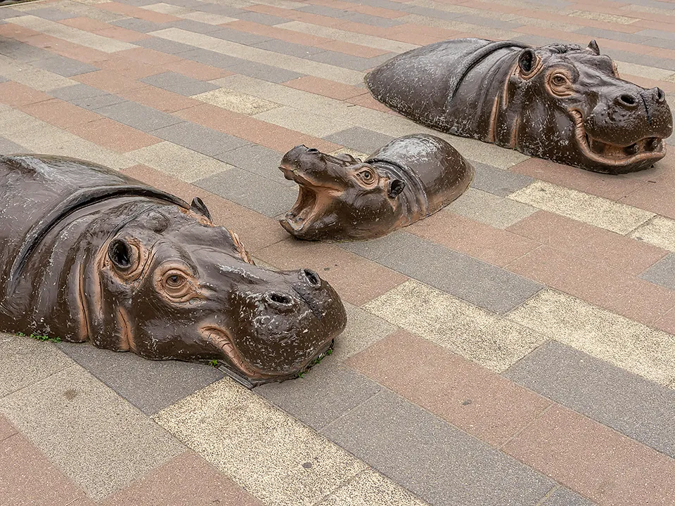 Фото: медиасток.рф