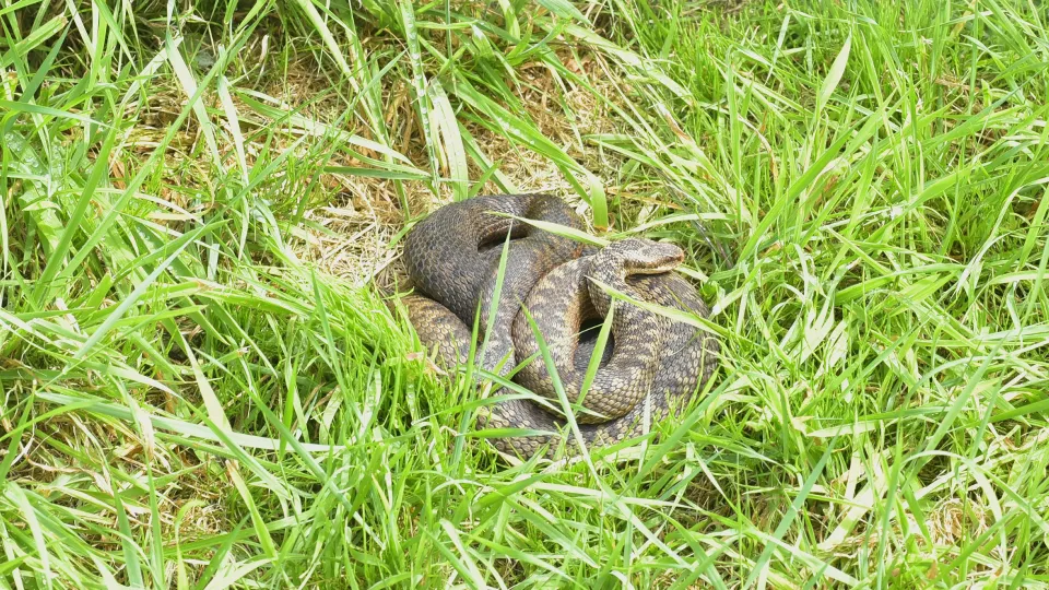 Фото: pxhere.com