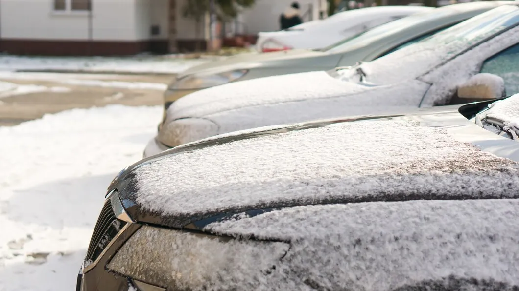 Фото: freepik.com