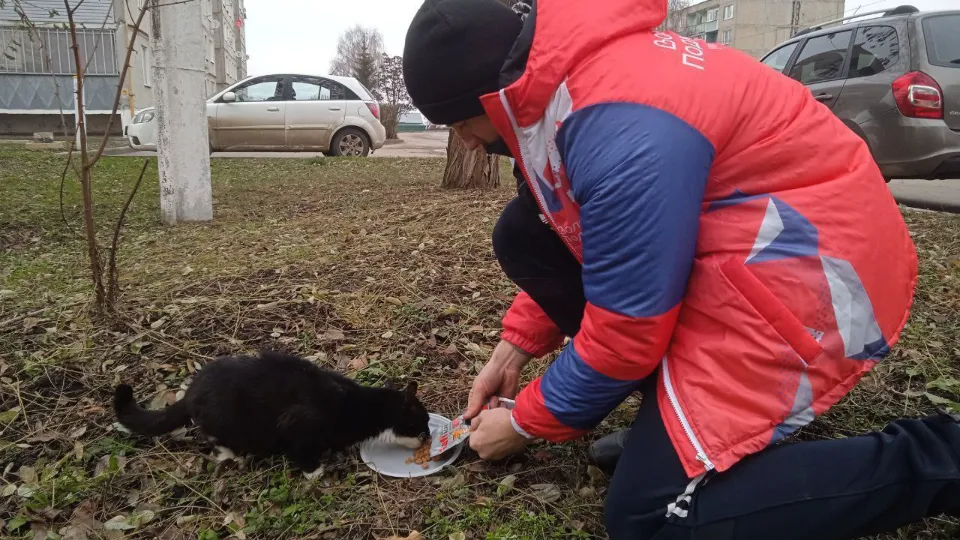 Волонтерский штаб муниципального округа Серебряные Пруды