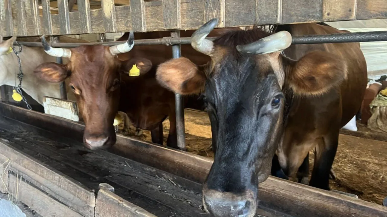 Фото: REGIONS/Аннета Юрасова