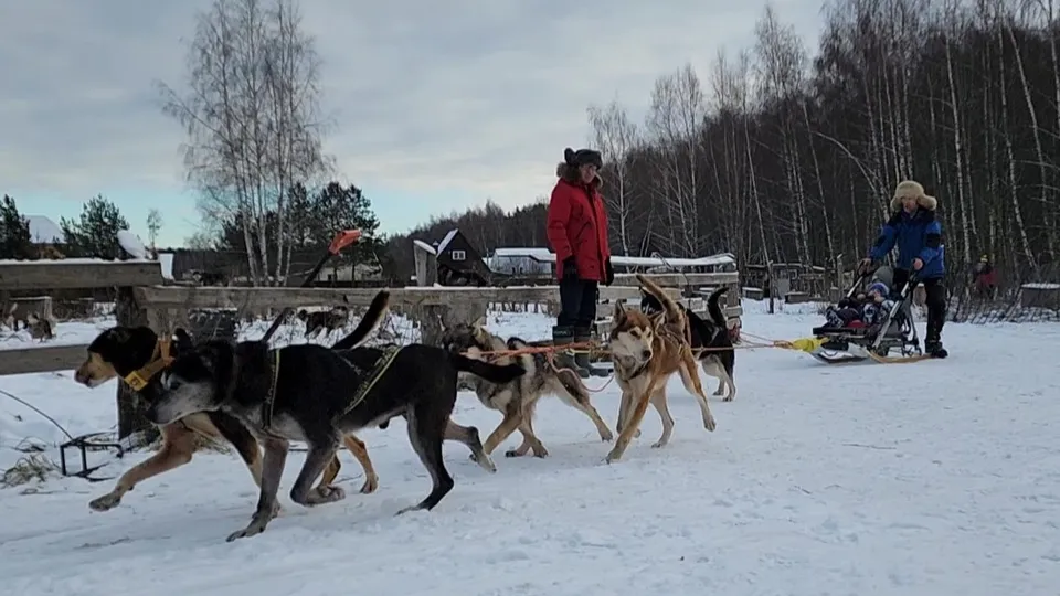 Фото: Ольга Антонова