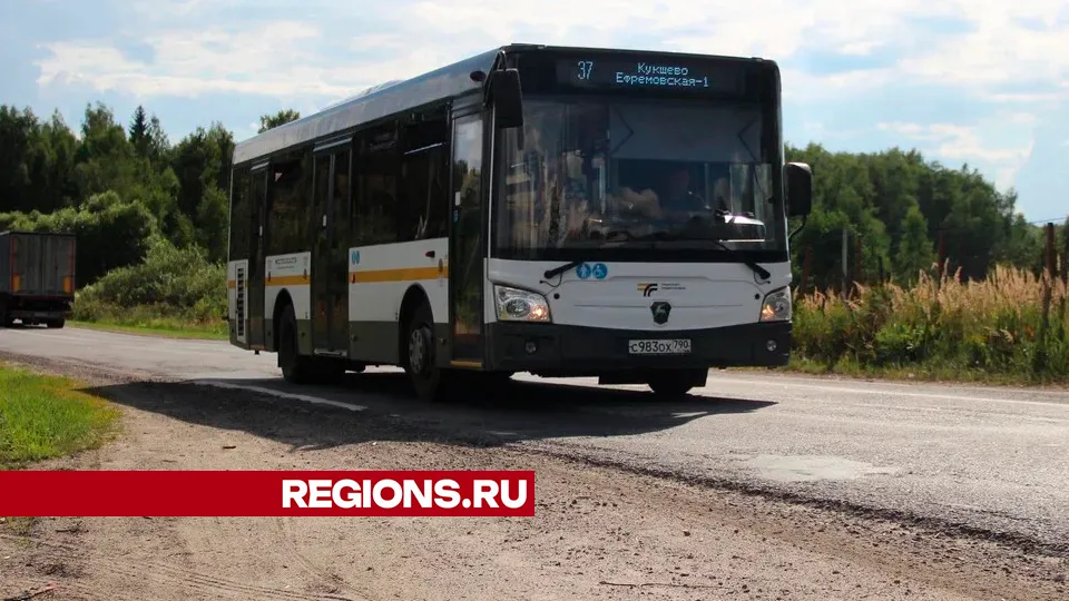 Фото: REGIONS/Василий Тремасов