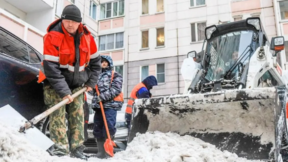 Фото: пресс-служба администрации г. о. Красногорск