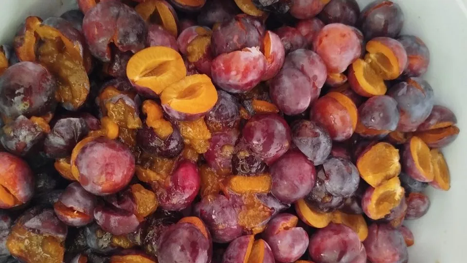 Фото: REGIONS/Юлия Куделькина